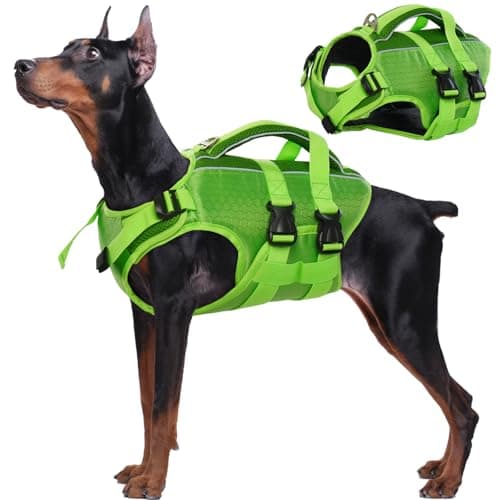 Kuoser Dog Life Jacket High Flotation, Reflective Dogs Life Vest for Swimming Boating, Adjustable Small Medium Large Dog lifejacket, Lightweight Dogs Life Preserver Rescue Handle Spring Summer Pool - Image 1
