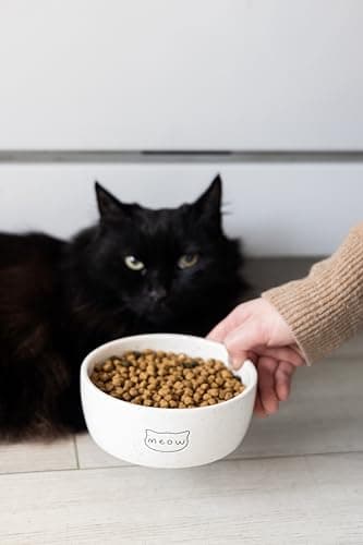 Pearhead Ceramic Meow Cat Bowl, Holds 1.3 Cups, Whisker-Friendly Pet Dish for Food and Water, Microwave and Dishwasher Safe, Small - Image 4