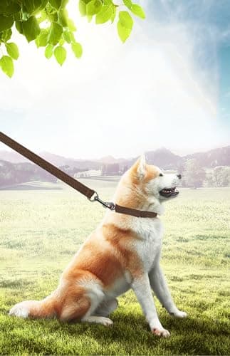 PETGOGO 15ft 20ft 30ft 40ft 50ft Long Dog/Puppy Lead Obedience Recall Training Dog Leashes for Small Medium Dogs Camping, Training, Play, or Backyard (Brown, 1" x 40FT) - Image 5