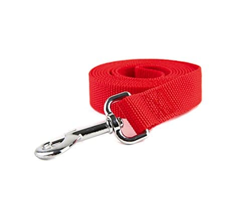 Strong Nylon Dog Leash, for Medium Large Dogs Walking, Training or Exploring, 10 feet Long 1 inch Wide - Image 1
