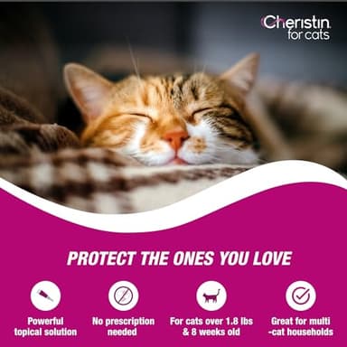 Cheristin Flea Treatment & Prevention for Cats | Fast Acting Topical flea Treatment for Cats Over 1.8 lbs | 1 Count (Pack of 2) - Image 4