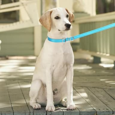 YUCFOREN 10FT 15FT 20FT Anti-Choke Long Slip Lead Dog Leash, 3/4" Wide Nylon Reflective Leash No Pull Training Lead for Medium Large Dogs (15FT * 3/4" Blue) - Image 6