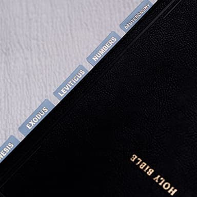 UPAFEXXI-Leather Bible Tabs, Bible Tabs for Women and Men(Gold Foil Lettering) Large Print Stickers, Easy to Read and Apply, 80 Chapters Labels for Easy Navigation(Sky Blue) - Image 5