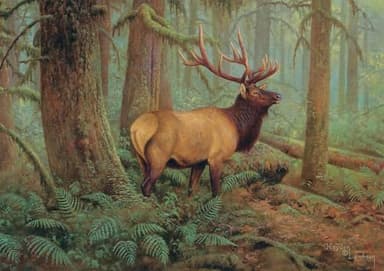 Buffalo Games - Hayden Lambson - Forest King - 500 Piece Jigsaw Puzzle for Adults -Challenging Puzzle Perfect for Game Nights - Finished Size is 21.25 x 15.00 - Image 2