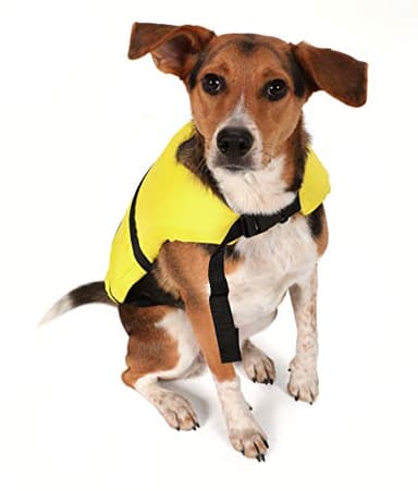 Seachoice Dog Life Vest, Adjustable Life Jacket for Dogs, w/Grab Handle, Yellow, Size XXS, Up to 6 Lbs. - Image 5