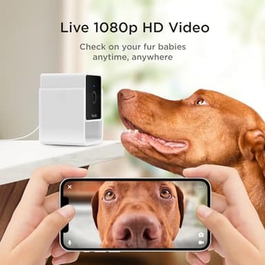 Petcube Cam The Pack of 2 | Indoor Wi-Fi Pet Security Camera with Phone App, 2-Way Audio and Video, Night Vision, 1080p HD Video and Smart Alerts - Image 2
