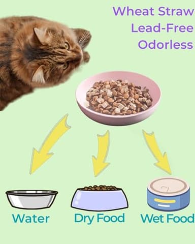 6-Pack Cat Food Bowl with Non-Slip Feet, Whisker Fatigue Cat Dishes for Food, Plastic Cats Bowls Set for Multi-Cats Homes, 5.5" Wide Shallow Relief Kitten Bowls BPA-Free, Dishwasher Safe - Image 4