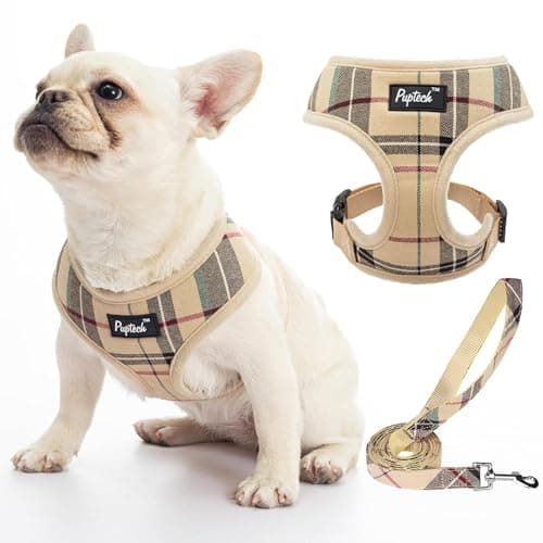 Pupteck Soft Mesh Dog Harness Sized and Leash Set Pet Puppy Cat Comfort Padded Vest No Pull Harnesses, Beige, Medium - Image 1