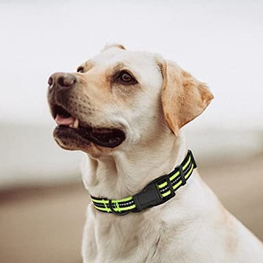 Mile High Life Reflective Dog Collar | Nylon Pet Collars wiith Buckle | Light Weight Puppy Collars | Lime Green Dog Collars for Small Dogs (Lime Green, X-S) - Image 2