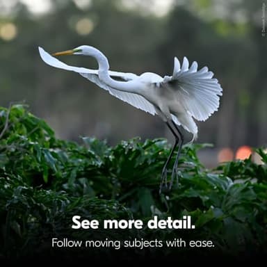 Nikon STABILIZED 12x25 Binocular | Optical Image Stabilization Delivers a Clear, Blur-Free View and Reduces Eye Strain with 12x Magnification - Image 5