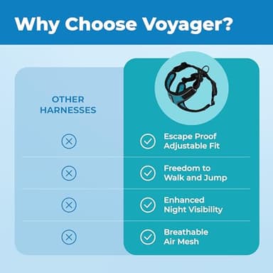 Voyager Escape Proof Cat Harness and Leash Set with Reflective Stitching, Neoprene Handle 5ft - Supports Small, Medium and Large Cats, Kittens for Walking by Best Pet Supplies - BT-Turquoise, XS - Image 6