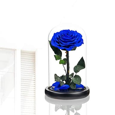 Preserved Roses Handmade Rose in Glass Dome, Preserved Flowers Never Withered Romantic Gifts for Her, Mother's Day, Birthday Gifts for Women (9 inch, Blue) - Image 2