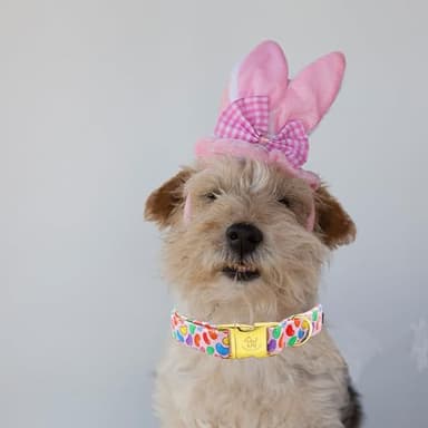 Elegant little tail Easter Dog Collar, Colorful Candy Print Pet Collars Dogs Cute Pink Boy Girl Dog Collars Pet Gift Adjustable Pet Collar for Large Dogs - Image 4