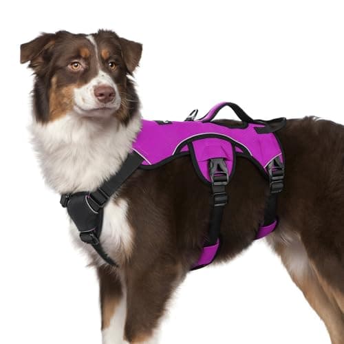 rabbitgoo Escape Proof Dog Harness, Soft Padded Full Body Pet Harness, Reflective Adjustable No Pull Vest with Lift Handle and Leash Clip for Large Dogs Walking Hiking Training, M, Purple - Image 1