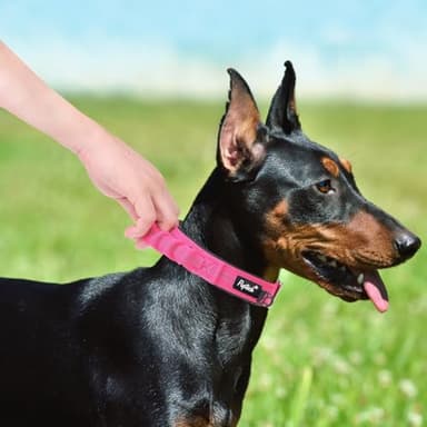 PUPTECK Heavy Duty Dog Collar with Handle Bungee for Small Medium Large Dogs, Tactical Dog Training Collar for Easy Control, Reflective Padded Dog Collars for Walking Running, Deep Pink, S - Image 7