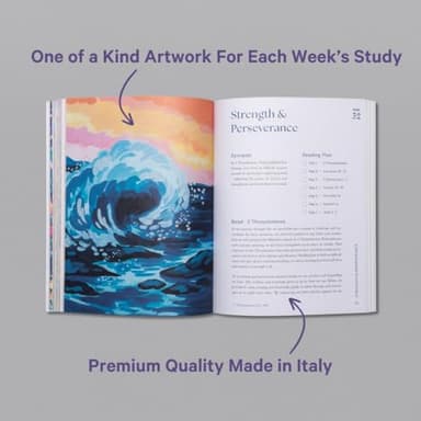 A Beautiful Year in the Bible: The 52-Week Bible Study for Women (SC) - Image 4