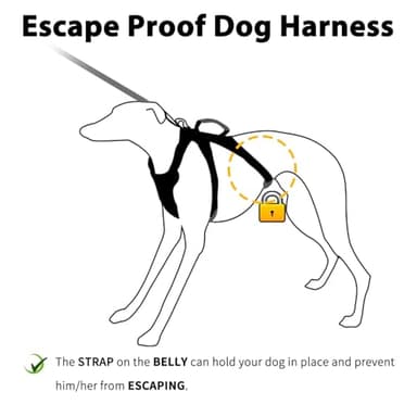 Huntboo Escape Proof Dog Harness, Escape Artist Harness, Reflective Harness with Padded Handle, Breathable, Durable, Adjustable Vest for Medium Dogs Walking, Training, and Running Gear (Black, M) - Image 2
