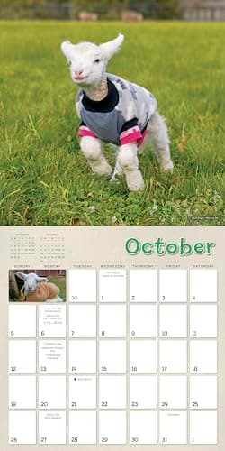 2025 Wall Calendar: Lambies in Jammies & Goats In Coats, 12" x 12" - Image 5
