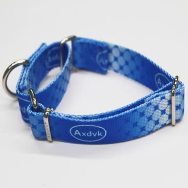 Axdvk Martingale Dog Collar Colorful Gradient Fashionable - Anti-Escape Soft Durable Pets Collar for Walking Training Outdoor Daily Use -Medium, Blue Ocean - Image 3