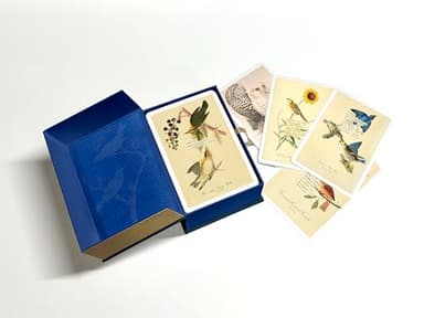 An Almanac of Birds: 100 Divinations for Uncertain Days - Image 5