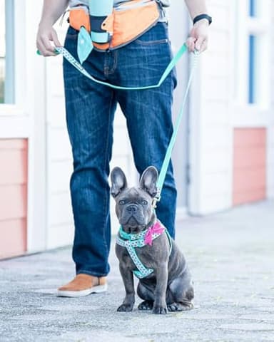 Blueberry Pet Valentine's Day Dog Leash, Velvety Soft-Touch Heart Flocking Lead for Small Dogs, Minty Green, 5 ft x 5/8" - Image 6