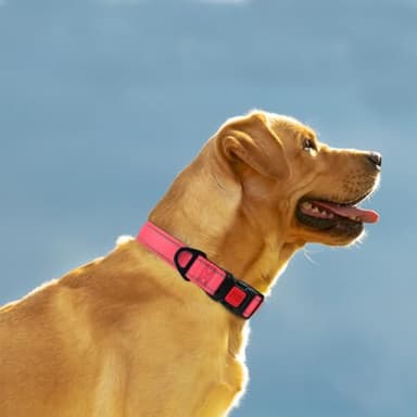 Taglory Reflective Dog Collar with Safety Locking Buckle, Adjustable Nylon Pet Collars for Large Dogs Female Male, Pink, L - Image 2