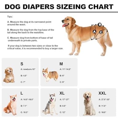 Reusable Dog Diapers Female Medium Washable, Premium Doggie Diaper for Dogs, Pack of 3, Highly Absorbent Dog Diaper for Heat, Incontinence and Puppy Training(M) - Image 3