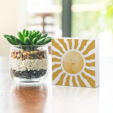 Inspirational Sunshine Wooden Box Sign, Boho Sun Decor, Spring Summer Rustic Farmhouse Home Nursery Playroom Toddler Room Classroom Decor Wood Block Plaque, Desk Table Shelf Decor Decorations - Image 5