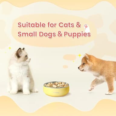 Pawaii Small Dog Bowls, 12 oz. Food Water Bowl Designed for Puppies and Cats with Non-Slip Rubber Base, Upgraded Metal Insulated, Double Stainless Steel Bowls, Cheese Yellow - Image 9