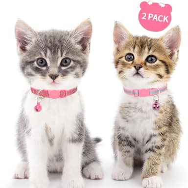 Taglory Kitten Collar Breakaway with Bell, 2 Pack Girl Boy Pet Kitten Collar Adjustable 6-8 Inch for 2-6 Months Cat, Pink - Image 2