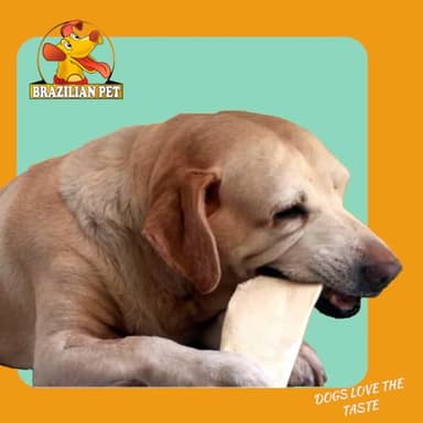 Premium Thick Cut Chips, Wholegrain Rawhide (Last Much Longer Than Traditional Chips). 100% Natural. Great Behavioral Dog Chew Treat Solution. No Preservatives. (5 Pounds) - Image 3