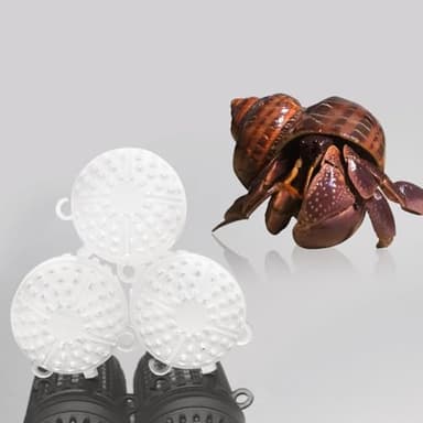 10 Pcs Spider Temporary Using Box Hermit Crab Transportation Breathable Packaging Box Plastic Carrier for Hermit Crab Tarantula Scorpion Millipede Spider Tiny Reptiles - Image 2