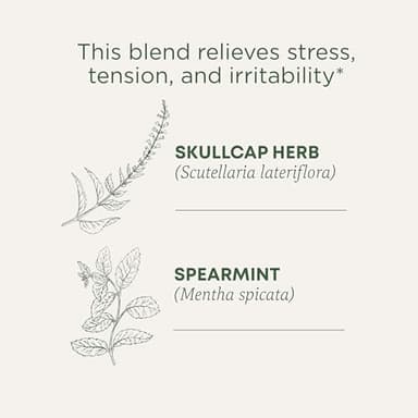 Traditional Medicinals Organic Stress Ease Tension Relief Tea, Lemon Verbena Mint, 96 Count (Pack of 6) - Image 4