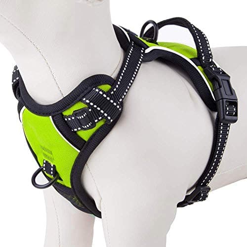PHOEPET No Pull Dog Harnesses for Small Puppies Reflective Adjustable Front Clip Vest with 2 Metal Leash Attachment Hooks Soft Handle(XS, Green) - Image 1