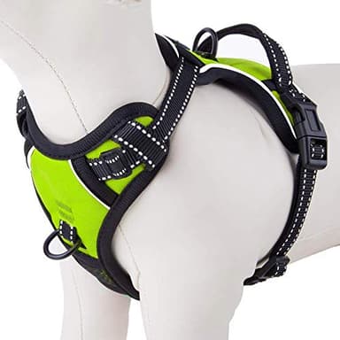 PHOEPET No Pull Dog Harnesses for Small Puppies Reflective Adjustable Front Clip Vest with 2 Metal Leash Attachment Hooks Soft Handle(XS, Green) - Image 1