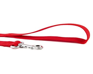 Strong Nylon Dog Leash, for Medium Large Dogs Walking, Training or Exploring, 10 feet Long 1 inch Wide - Image 3