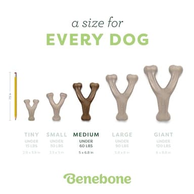 Benebone Wishbone Durable Dog Chew Toy for Aggressive Chewers, Real Bacon, Made in USA, Medium - Image 4