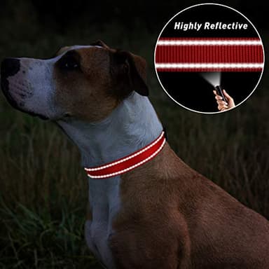 TagME Reflective Nylon Dog Collars, Adjustable Classic Pet Collar with Quick Release Buckle for Small Dogs, Red, 3/4" Width - Image 5
