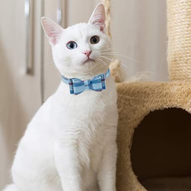 EXPAWLORER Dog Collar and Leash Set - Pawprint Plaid Collar with Bow Tie and Bell, Cute for Dogs and Cats, Blue S-M - Image 6