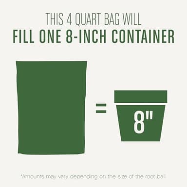 Miracle-Gro Succulent Potting Mix, For Indoor Succulents, Aloe Vera and More, Made with Miracle-Gro Plant Food, 4 qt - Image 7