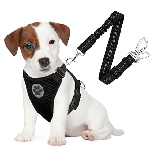 SlowTon Dog Seat Belt Harness for Car, Dog Car Harness Adjustable Mesh Breathable & Dog Seatbelt Safety Tether with Elastic Bungee for Small Medium Large Pets(Black, Double Clip, S) - Image 1