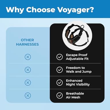 Voyager Escape Proof Cat Harness and Leash Set with Reflective Stitching, Neoprene Handle 5ft - Supports Small, Medium and Large Cats, Kittens for Walking by Best Pet Supplies - Army, S - Image 6