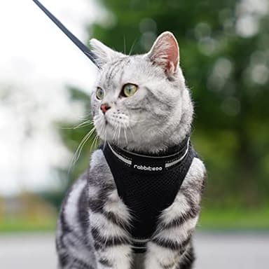 rabbitgoo Cat Harness and Leash Set for Walking Escape Proof, Adjustable Soft Kittens Vest with Reflective Strip for Cats, Comfortable Outdoor Vest, Black, M - Image 8