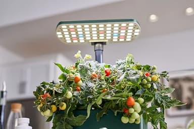 AeroGarden Harvest Lite, Indoor Garden Hydroponic System with LED Grow Light, Holds up to 6 AeroGarden Pods, Green - Image 9