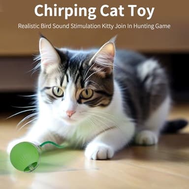 AnyEnjoy Interactive Cat Toys for Indoor Cats,Automatic Cat/Kitten Toys for Bored Indoor Adult Cats,Motion Activated (Green) - Image 7