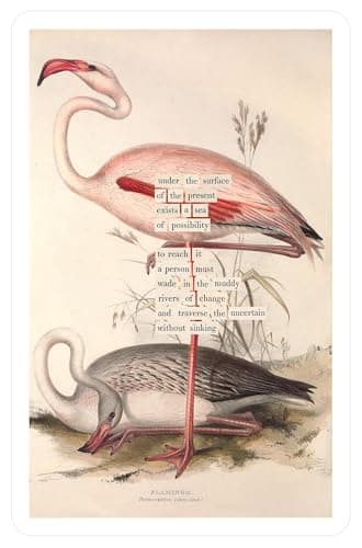 An Almanac of Birds: 100 Divinations for Uncertain Days - Image 8