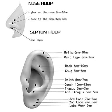 ORANGELOVE Gold Nose Rings 18 Gauge Cartilage Helix Tragus Daith Rook Earrings Piercing Jewelry Septum Clicker 7mm Nose Hoop Ring - Image 6