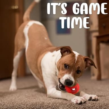 HDSX 4 Pack 2.8" Smiley Face Squeaky Dog Toys Soft Dog Balls Latex Rubber Squeak Dog Toys for Small Medium Puppy Pet Dogs (Emoji) - Image 4