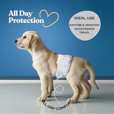 Comfortable Male Dog Diapers - 30-Pack Super Absorbent Disposable Male Dog Wraps- FlashDry Gel Technology, Wetness Indicator Doggie Diapers- Leakproof Belly Wraps for Incontinence, Excitable Urination - Image 2