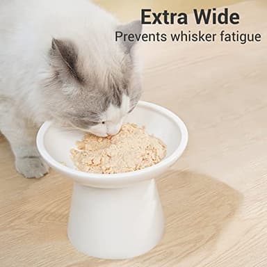CEEFU Extra Wide Elevated Ceramic Cat Bowl - 6.2" Shallow Dish for Whisker Fatigue Relief, 5" Height for Easy Feeding, Lead & Cadmium Free, Durable Raised Cat Food Bowls, White - Image 3